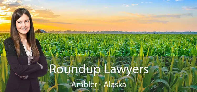 Roundup Lawyers Ambler - Alaska