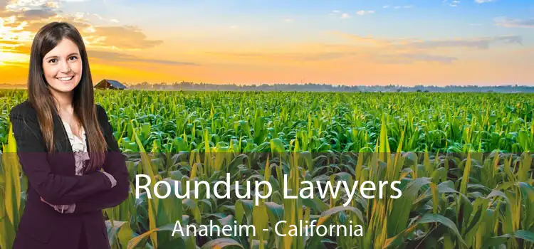 Roundup Lawyers Anaheim - California