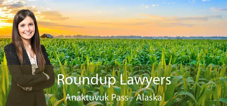 Roundup Lawyers Anaktuvuk Pass - Alaska