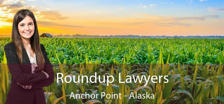 Roundup Lawyers Anchor Point - Alaska