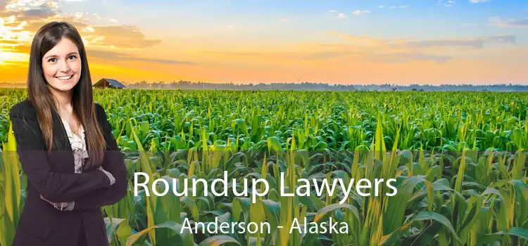 Roundup Lawyers Anderson - Alaska