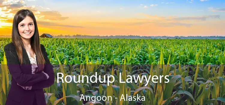 Roundup Lawyers Angoon - Alaska