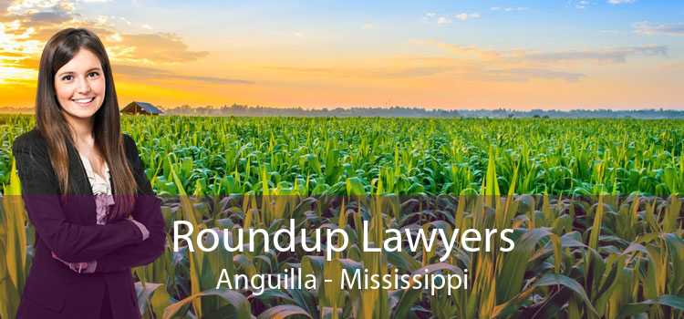 Roundup Lawyers Anguilla - Mississippi
