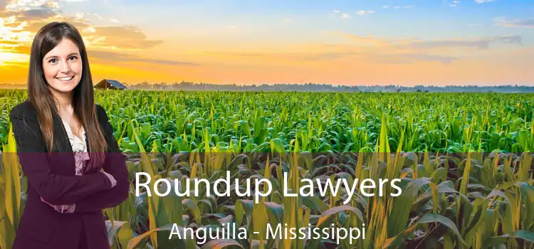 Roundup Lawyers Anguilla - Mississippi