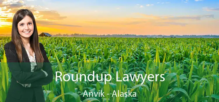 Roundup Lawyers Anvik - Alaska