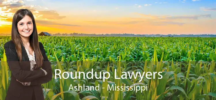 Roundup Lawyers Ashland - Mississippi