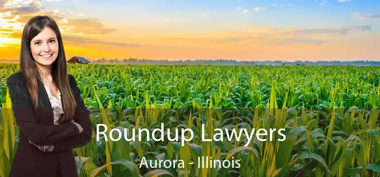 Roundup Lawyers Aurora - Illinois