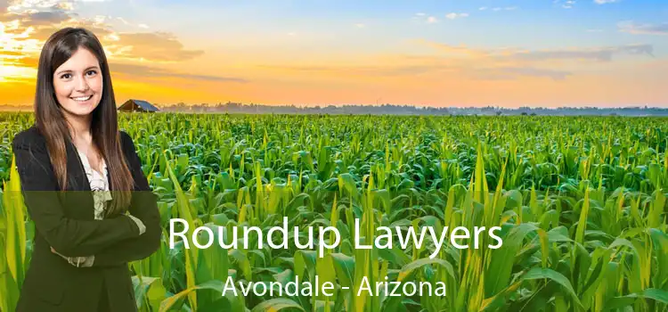 Roundup Lawyers Avondale - Arizona