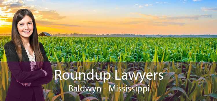 Roundup Lawyers Baldwyn - Mississippi