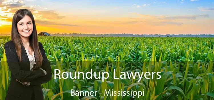 Roundup Lawyers Banner - Mississippi