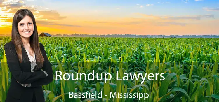 Roundup Lawyers Bassfield - Mississippi