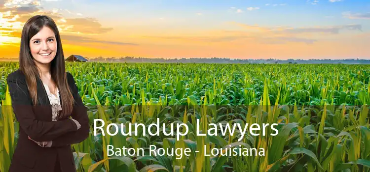 Roundup Lawyers Baton Rouge - Louisiana
