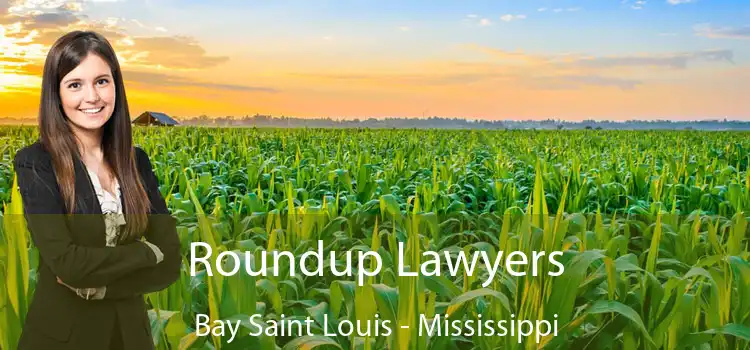 Roundup Lawyers Bay Saint Louis - Mississippi