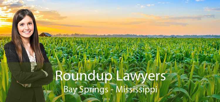 Roundup Lawyers Bay Springs - Mississippi