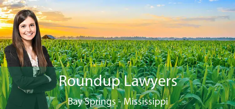 Roundup Lawyers Bay Springs - Mississippi