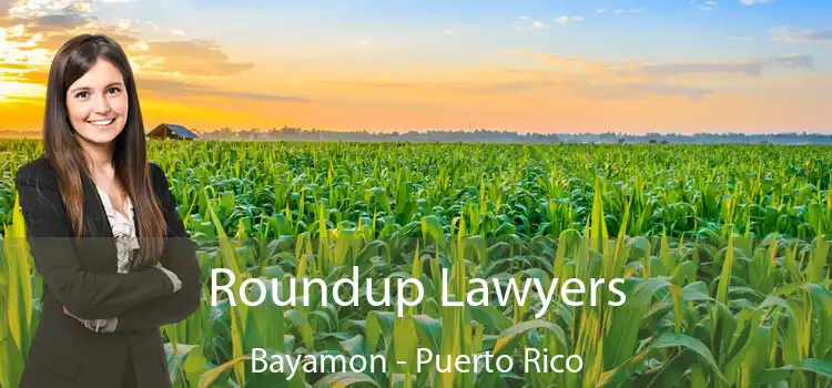 Roundup Lawyers Bayamon - Puerto Rico