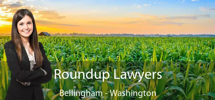 Roundup Lawyers Bellingham - Washington