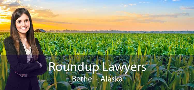 Roundup Lawyers Bethel - Alaska