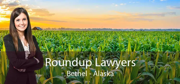 Roundup Lawyers Bethel - Alaska