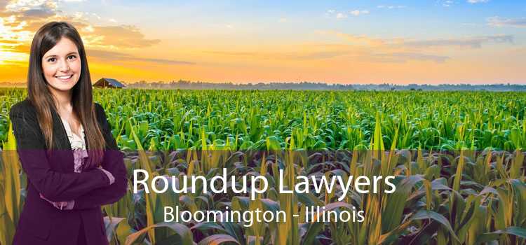 Roundup Lawyers Bloomington - Illinois