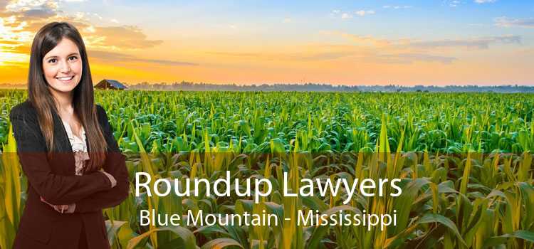 Roundup Lawyers Blue Mountain - Mississippi