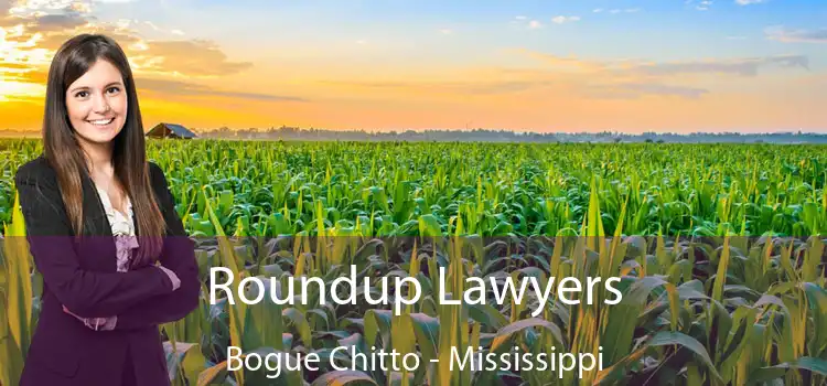 Roundup Lawyers Bogue Chitto - Mississippi