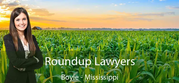 Roundup Lawyers Boyle - Mississippi