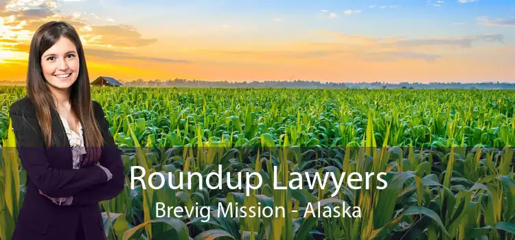 Roundup Lawyers Brevig Mission - Alaska