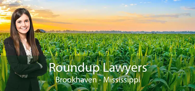 Roundup Lawyers Brookhaven - Mississippi