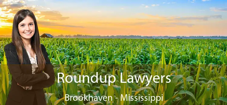 Roundup Lawyers Brookhaven - Mississippi