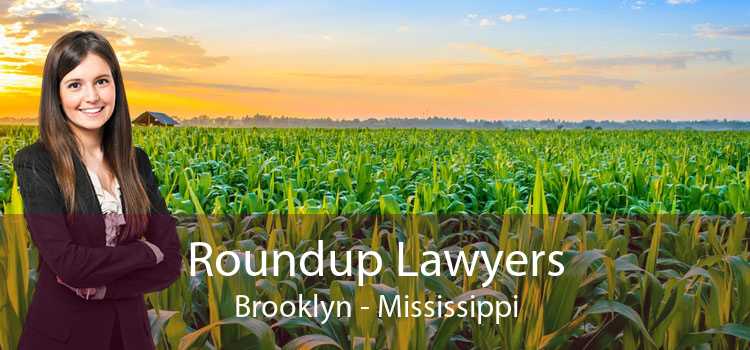 Roundup Lawyers Brooklyn - Mississippi