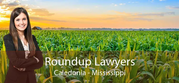 Roundup Lawyers Caledonia - Mississippi