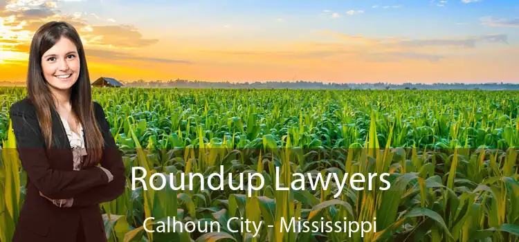 Roundup Lawyers Calhoun City - Mississippi