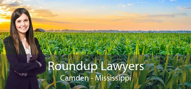 Roundup Lawyers Camden - Mississippi