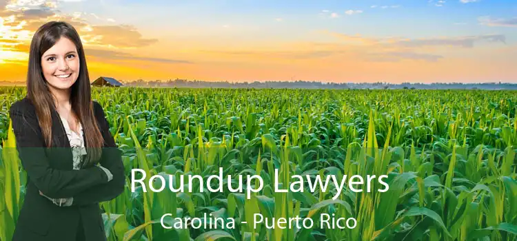 Roundup Lawyers Carolina - Puerto Rico