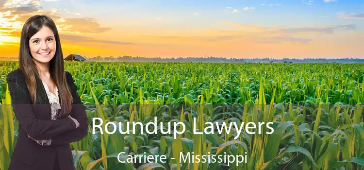 Roundup Lawyers Carriere - Mississippi