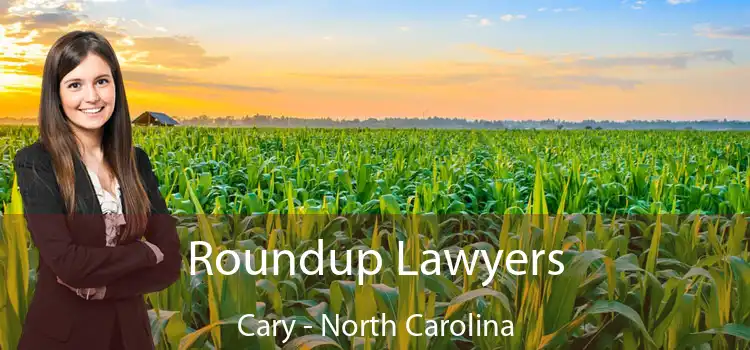 Roundup Lawyers Cary - North Carolina