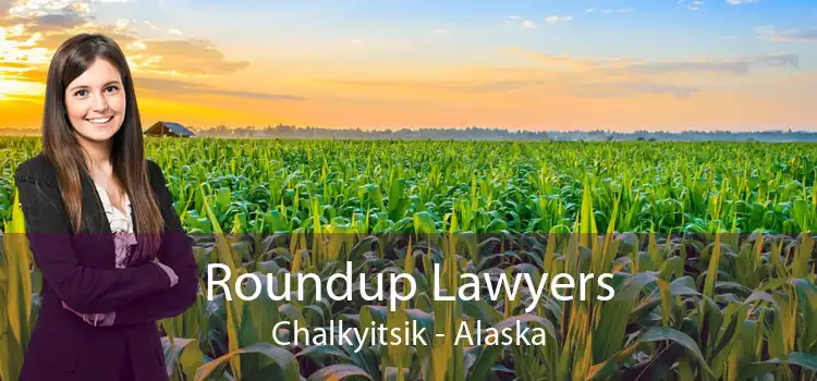 Roundup Lawyers Chalkyitsik - Alaska