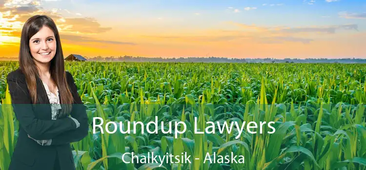 Roundup Lawyers Chalkyitsik - Alaska