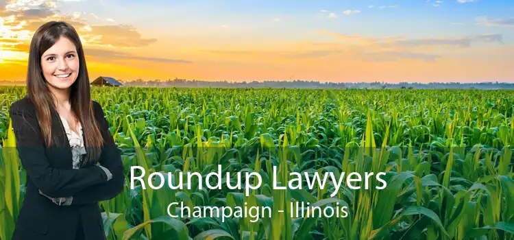 Roundup Lawyers Champaign - Illinois