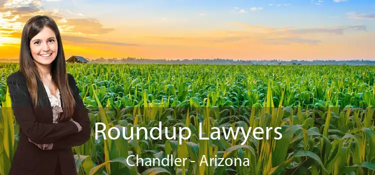 Roundup Lawyers Chandler - Arizona