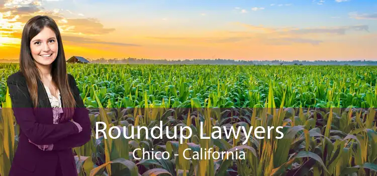 Roundup Lawyers Chico - California