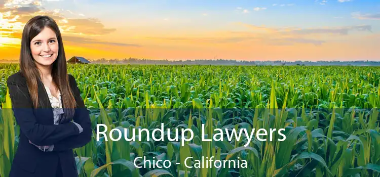 Roundup Lawyers Chico - California