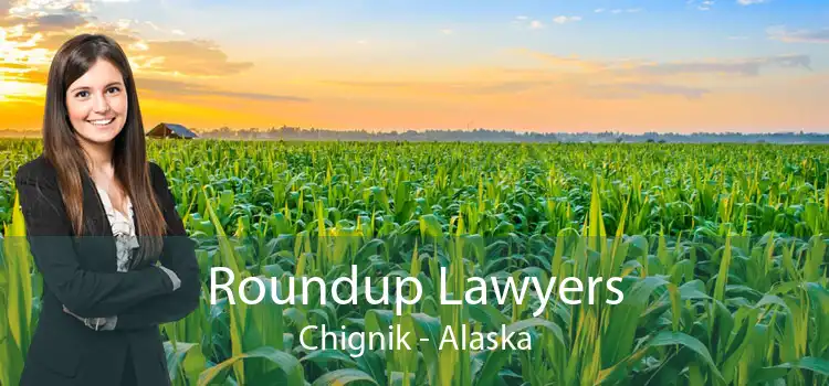 Roundup Lawyers Chignik - Alaska