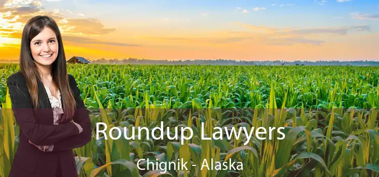 Roundup Lawyers Chignik - Alaska