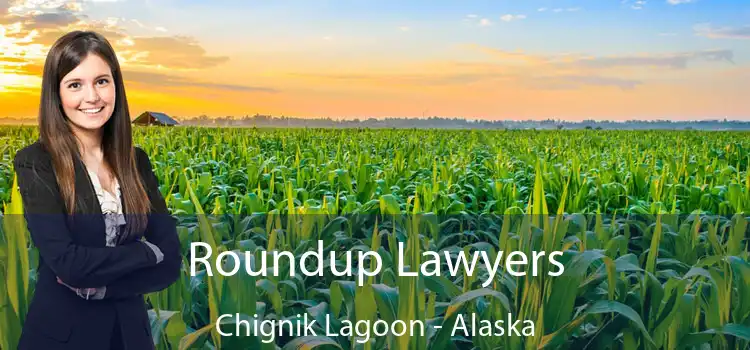 Roundup Lawyers Chignik Lagoon - Alaska