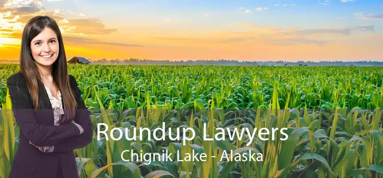 Roundup Lawyers Chignik Lake - Alaska