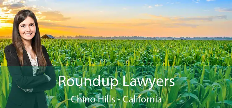 Roundup Lawyers Chino Hills - California