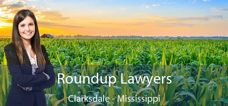 Roundup Lawyers Clarksdale - Mississippi