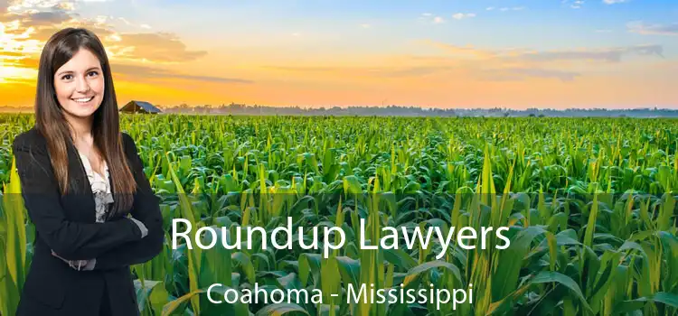 Roundup Lawyers Coahoma - Mississippi